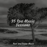 Soothe My Soul - Asian Zen Spa Music Meditation & ZEN & Namaste Healing Yoga