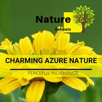 Fall Therapy - Yoga Music & Meditation Atmospheres & Power Yoga Nature Sounds