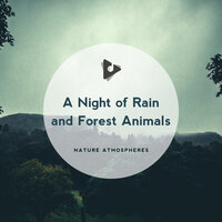 Classical Piano Forest - Nature Atmospheres