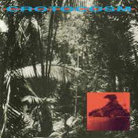 Incoming Fire - Crotocosm