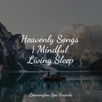 Serenity Waves - Native American Flute & Ambient Arena & Sounds Of Nature : Thunderstorm