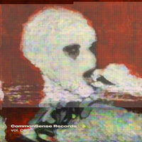 Forzoni - ROI