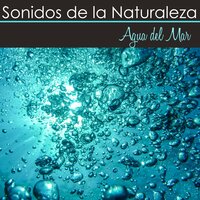 Viaje Sonoro - Sonidos Naturales Relax
