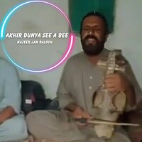 Araam Dilla Ra Itch Ne - Nazeer Jan Baloch