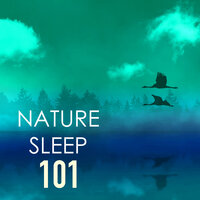 Take a Nap - Nature Caldwell