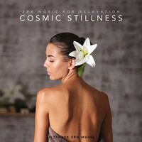 Lavender Fields Forever - Ultimate Spa Music