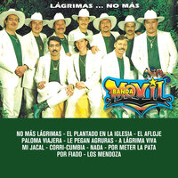 Mi Jacal - Banda Movil