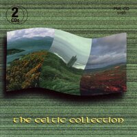 Celtic Fiddle - Parry Music