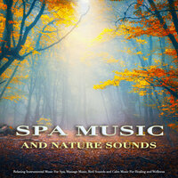 Calm Zen Music - Spa & Zen Music Garden & Spa Relaxation and Spa