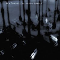 Now See! - John Surman