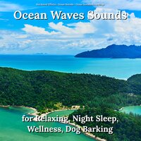 Relaxing Sun - Ocean Sounds & Sea Sound Effects & Ocean Sounds Recordings