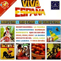 Ojos de España - MICHEL