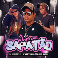Perdeu Pra Sapatão - Mc Marcelinho & dj penelope lee & DjMarcelinhoRj
