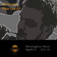 Polarized - Morninglory