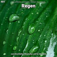 Regen, pt. 10 - Regen zum Einschlafen und Durchschlafen & Schlafmusik & Entspannungsmusik