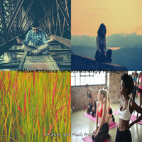 Understated Shakuhachi and Harps - Vibe for Massage Therapy - Relaxing Spa Music Project