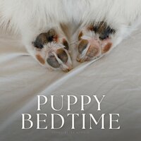 Citrus Symphony 2.0 - Sleep Dog