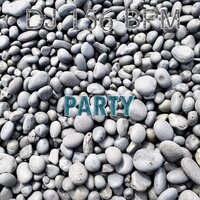 The Party Go On - DJ 156 BPM