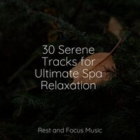 At the Edge of Heaven - Meditation & Avslappning Sound & Kings of Nature