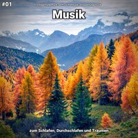 Wohlige Freude - Entspannungsmusik sanft & Schlafmusik & Entspannungsmusik