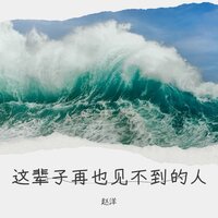 这辈子再也见不到的人 - 赵洋