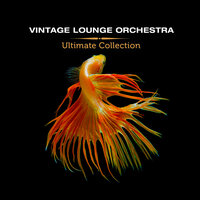 I Can See Clearly Now - Vintage Lounge Orchestra & Daniele Vit