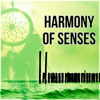 New Age & Healing (Piano) - Harmony Nature Sounds Academy