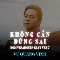 Không Cần Đúng Sai - Vu Quang Vinh