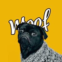 Seducted - Dog Music