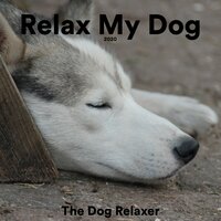 Watermelon Relax - The Dog Relaxer