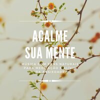 Aliviar a Tensão - Calmar la Ansiedad