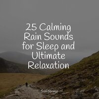 Forest, Rain, Birds, Winter - Ruído branco & Life Sounds Nature & White Noise Babies
