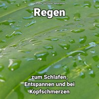 Regen zum Einschlafen - Wim Genth & Rain Sounds & Nature Sounds