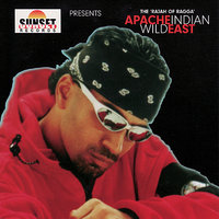 Raag Ragga - Apache Indian