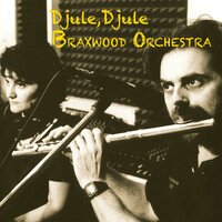 Spazio - Braxwood Orchestra & Roberto Stanco & Daniel Studer & Cristina Majnero & Francesco Consaga & Paolo Farinelli