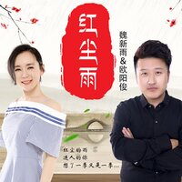 红尘雨-Dj何鹏版 - 魏新雨 & 欧阳俊