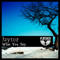 She Was - Jaytor