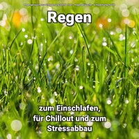 Welch Regen Sounds - Regengeräusche & Entspannungsmusik & Regengeräusche zur Entspannung von Ida Iven