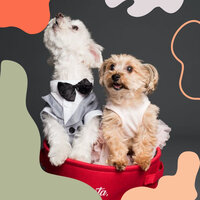 Laid-back Moods for Sleeping Puppies - Dog Relaxation Music