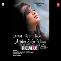 Ishq Mein Hum - Remix - Sonu Nigam & Nikhil-Vinay