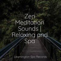 Massage Therapy - Meditacao Clube & Sounds Of Nature: Thunderstorm & White Noise Babies