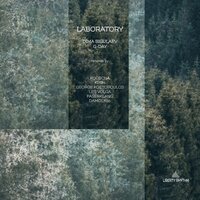 Laboratory - Dima Bigulaev & G-Day & Faserklang