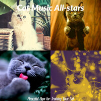 Sensational Ambience for Cute Cats - Cat Music All-stars