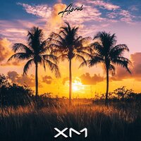 New Mood - XM