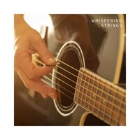 Smooth Instrumental Guitar - Jazz Guitar Club