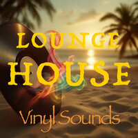 Sexy Dream House - Vinyl Sounds