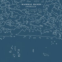 Bustle - Mammal Hands