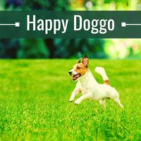 Finally Together - Soothing Music for Dogs