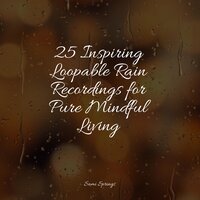 Waves of Rain - Loopable Rain Sounds & Academia de Música para Massagem Relaxamento & Deep Sleep FX