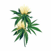 Flowers - Justraw & Yeki